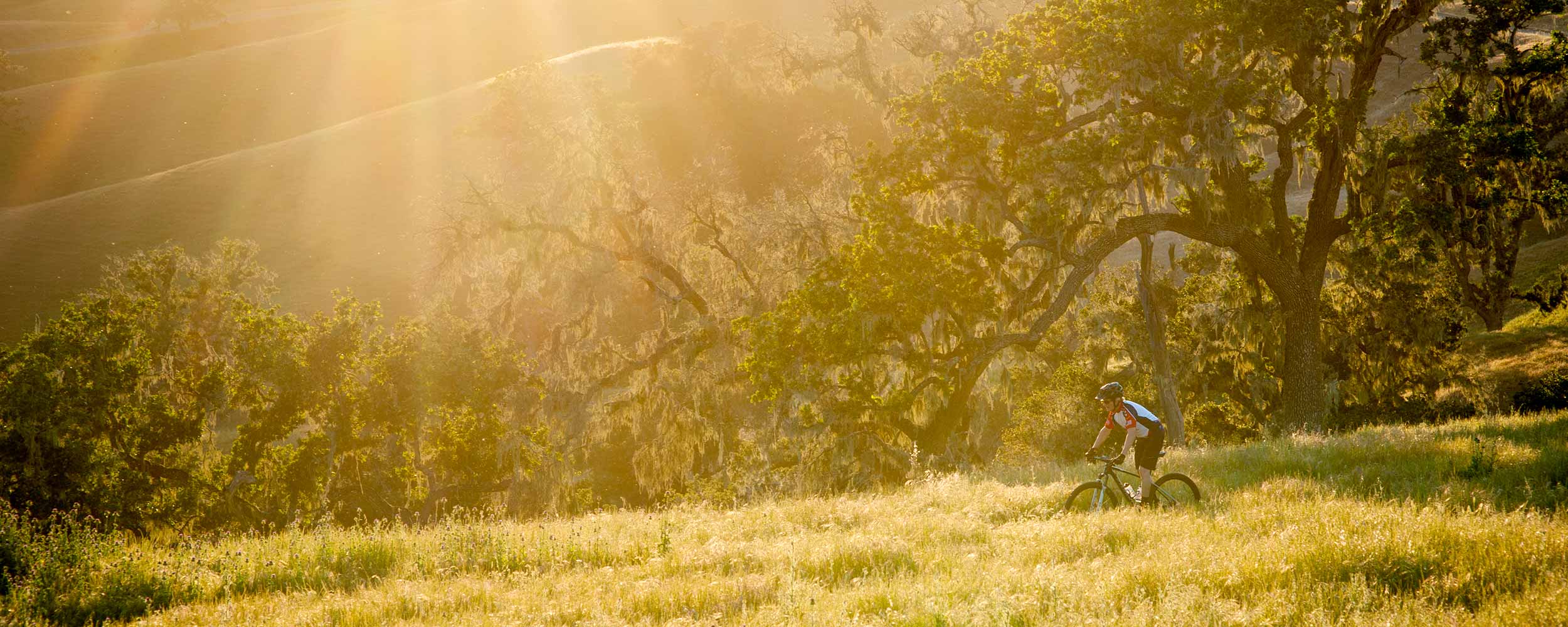 Alisal Guest Ranch Featured in American Cowboy Magazine