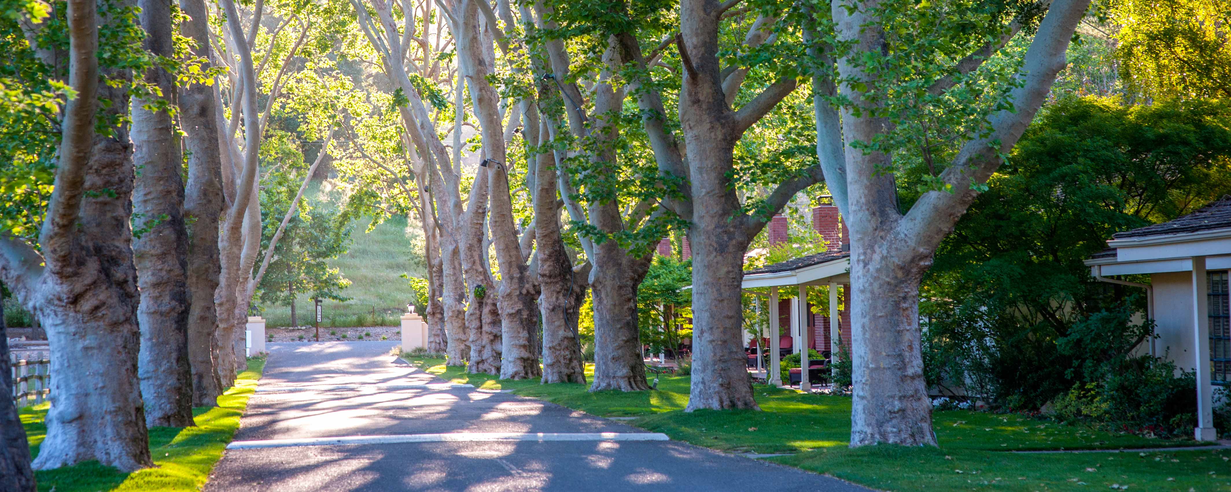 Alisal Guest Ranch Jobscareer Detail - tbjh7g5