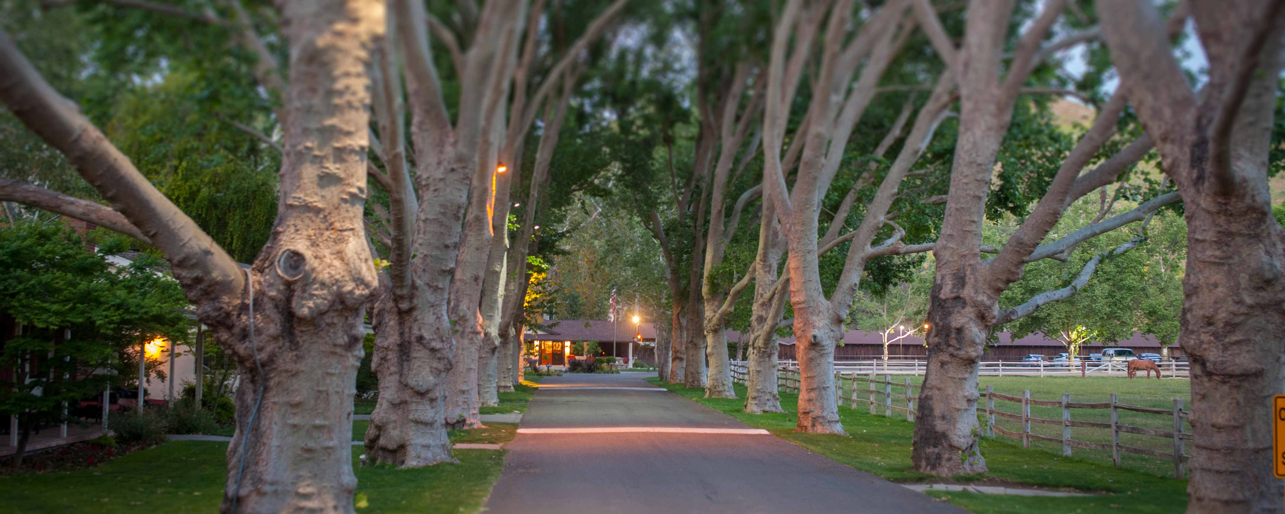 Alisal Guest Ranch Jobscareer Detail - l0pw5vi