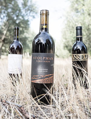 Stolpman Vineyards in Santa Barbara County