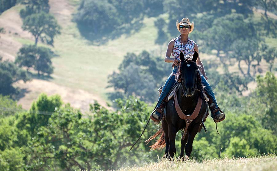 Santa Barbara Horseback Riding Alisal Guest Ranch & Resort