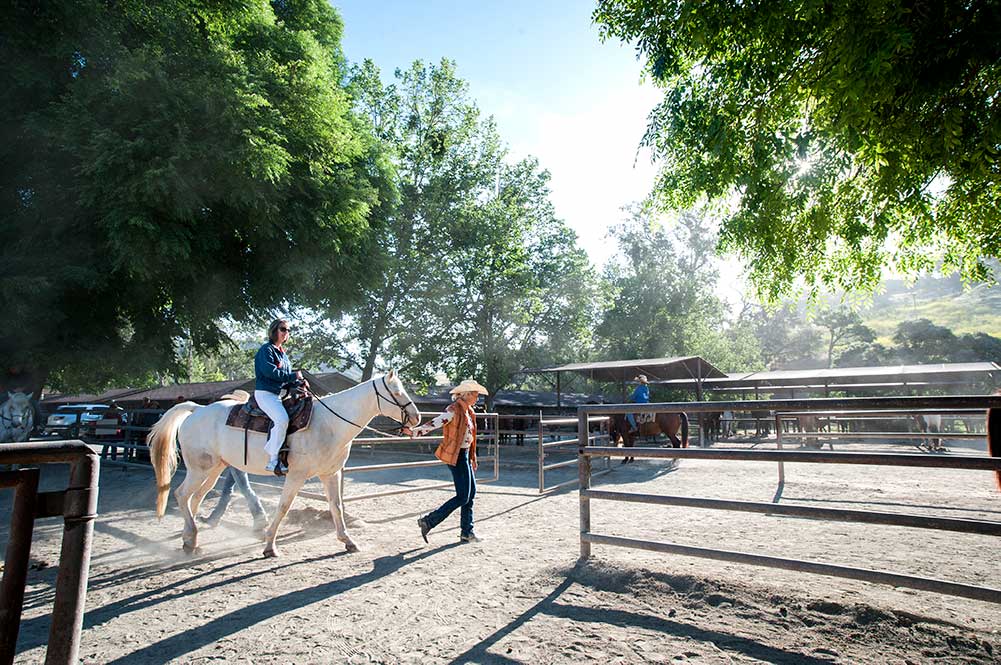 News from the barn