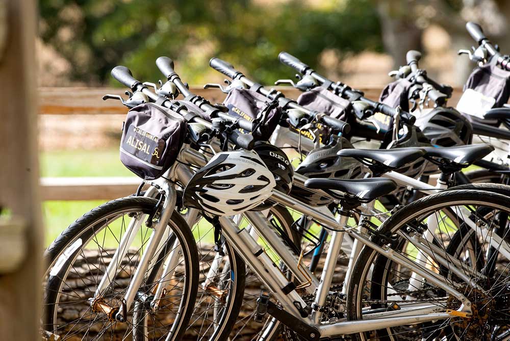 Row of mountain bikes at Alisal
